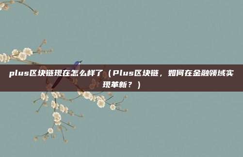 plus区块链现在怎么样了（Plus区块链，如何在金融领域实现革新？）