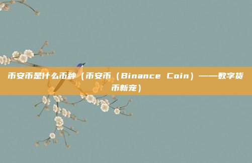 币安币是什么币种（币安币（Binance Coin）——数字货币新宠）