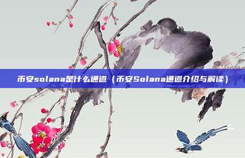 币安solana是什么通道（币安Solana通道介绍与解读）