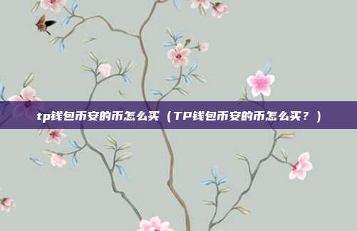 tp钱包币安的币怎么买（TP钱包币安的币怎么买？）