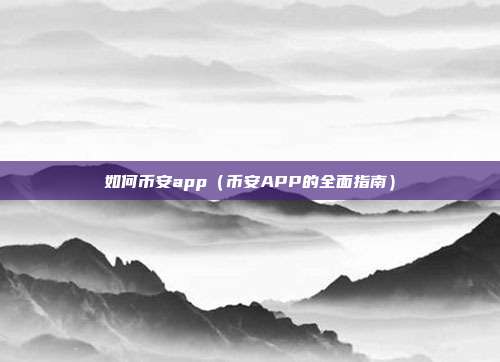 如何币安app（币安APP的全面指南）