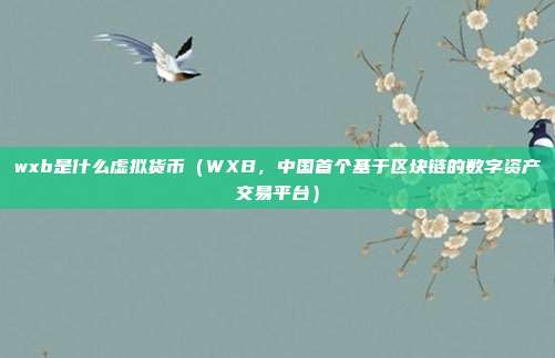 wxb是什么虚拟货币（WXB，中国首个基于区块链的数字资产交易平台）