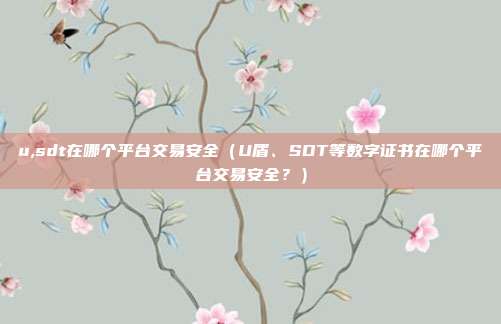 u,sdt在哪个平台交易安全（U盾、SDT等数字证书在哪个平台交易安全？）