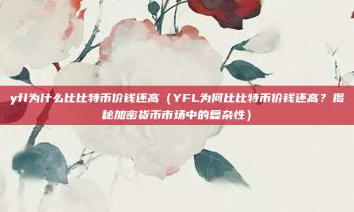 yfl为什么比比特币价钱还高（YFL为何比比特币价钱还高？揭秘加密货币市场中的复杂性）