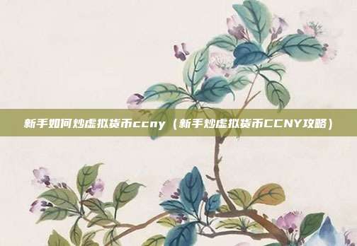 新手如何炒虚拟货币ccny（新手炒虚拟货币CCNY攻略）