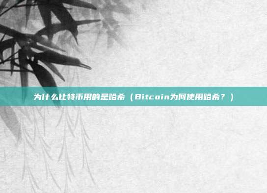 为什么比特币用的是哈希（Bitcoin为何使用哈希？）