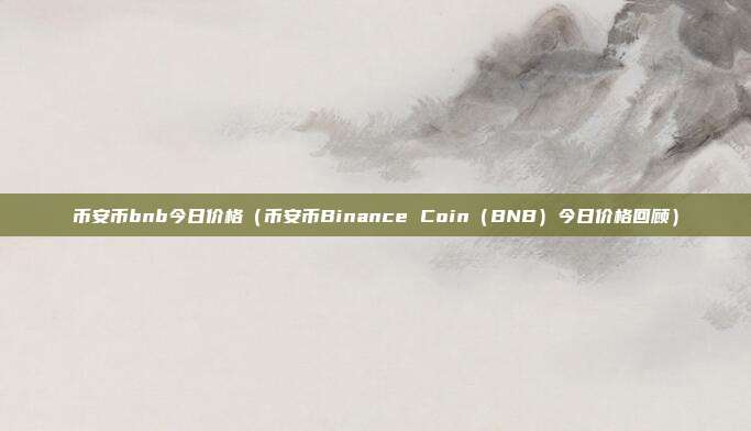 币安币bnb今日价格（币安币Binance Coin（BNB）今日价格回顾）