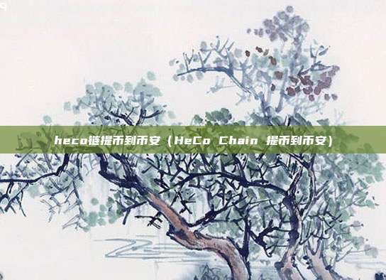 heco链提币到币安（HeCo Chain 提币到币安）