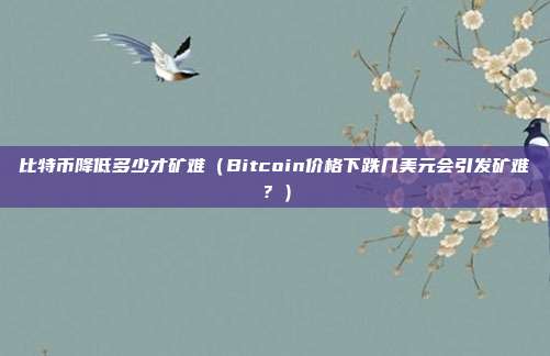 比特币降低多少才矿难（Bitcoin价格下跌几美元会引发矿难？）