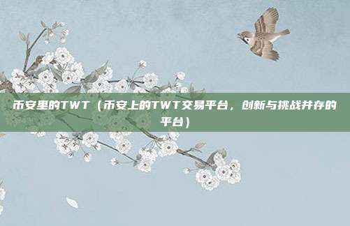 币安里的TWT（币安上的TWT交易平台，创新与挑战并存的平台）