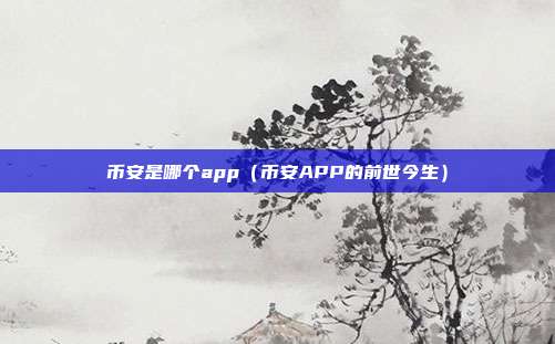 币安是哪个app（币安APP的前世今生）