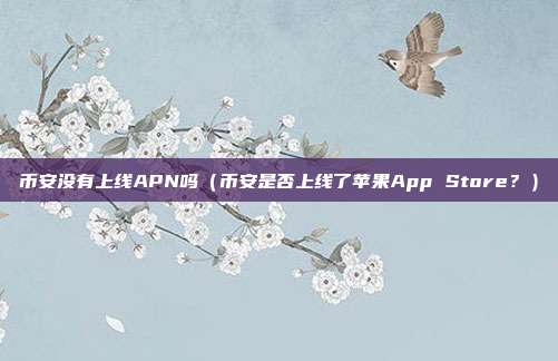 币安没有上线APN吗（币安是否上线了苹果App Store？）