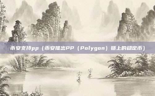 币安支持pp（币安推出PP（Polygon）链上的稳定币）