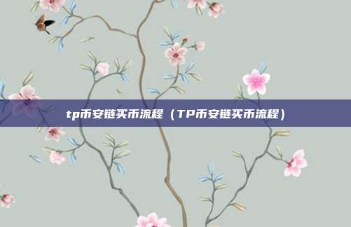 tp币安链买币流程（TP币安链买币流程）