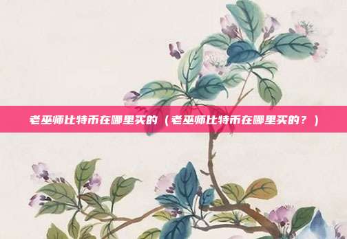 老巫师比特币在哪里买的（老巫师比特币在哪里买的？）