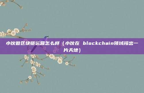 小伙做区块链运营怎么样（小伙在 blockchain领域闯出一片天地）