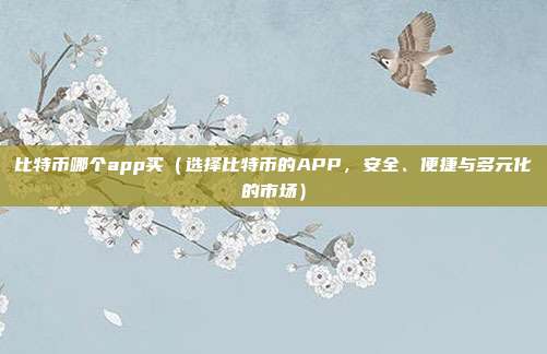 比特币哪个app买（选择比特币的APP，安全、便捷与多元化的市场）