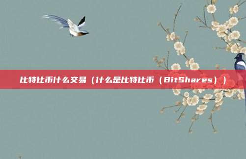 比特比币什么交易（什么是比特比币（BitShares））