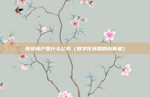 币安商户是什么公司（数字化转型的创新者）