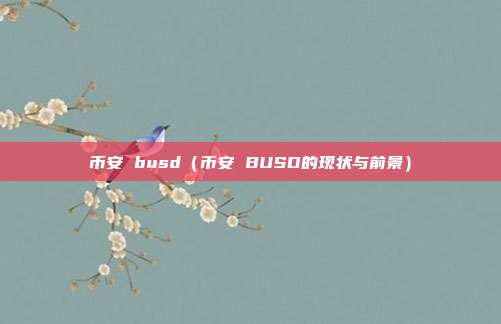 币安 busd（币安 BUSD的现状与前景）