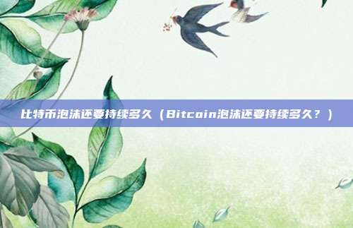 比特币泡沫还要持续多久（Bitcoin泡沫还要持续多久？）