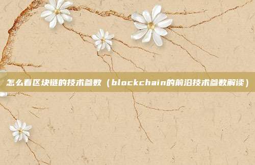 怎么看区块链的技术参数（blockchain的前沿技术参数解读）