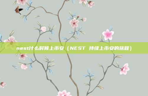 nest什么时候上币安（NEST 持续上币安的旅程）