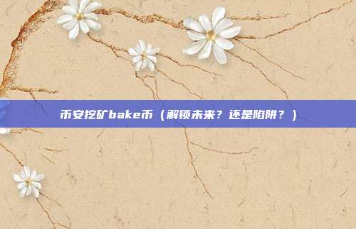 币安挖矿bake币（解锁未来？还是陷阱？）