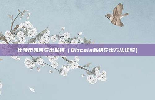 比特币如何导出私钥（Bitcoin私钥导出方法详解）