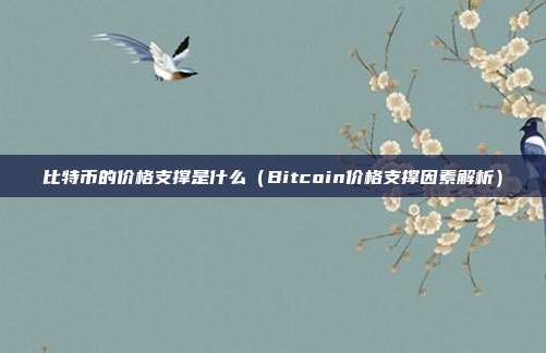 比特币的价格支撑是什么（Bitcoin价格支撑因素解析）