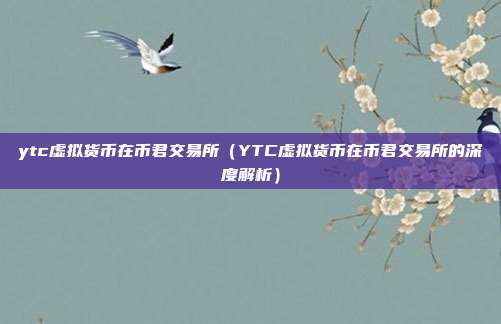 ytc虚拟货币在币君交易所（YTC虚拟货币在币君交易所的深度解析）