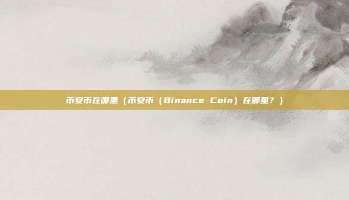 币安币在哪里（币安币（Binance Coin）在哪里？）