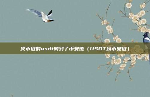 火币链的usdt转到了币安链（USDT到币安链）