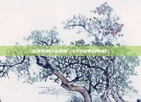 比特币叫什么时候（2008年3月4日）