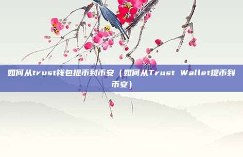 如何从trust钱包提币到币安（如何从Trust Wallet提币到币安）