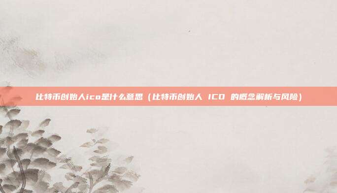 比特币创始人ico是什么意思（比特币创始人 ICO 的概念解析与风险）