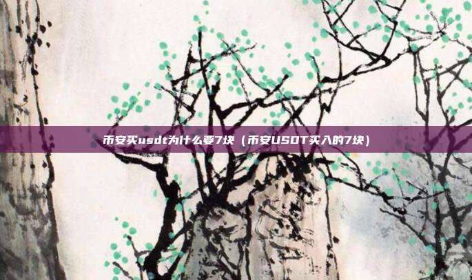 币安买usdt为什么要7块（币安USDT买入的7块）