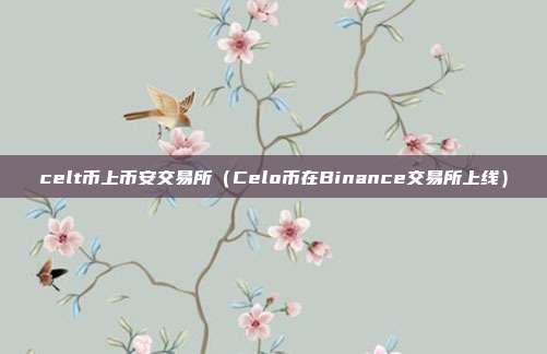 celt币上币安交易所（Celo币在Binance交易所上线）