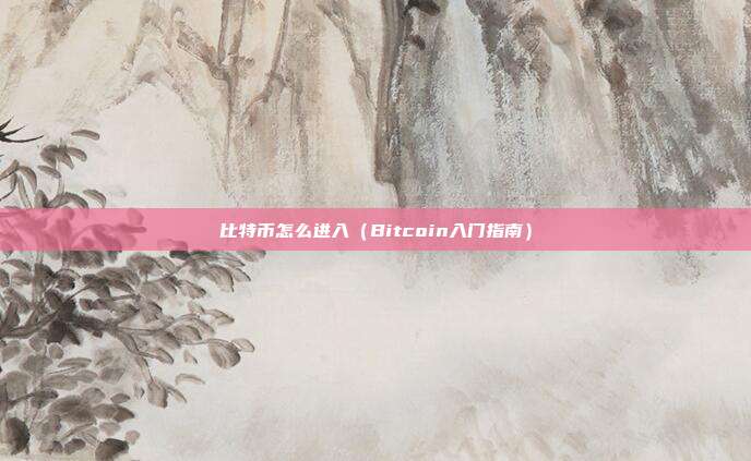 比特币怎么进入（Bitcoin入门指南）