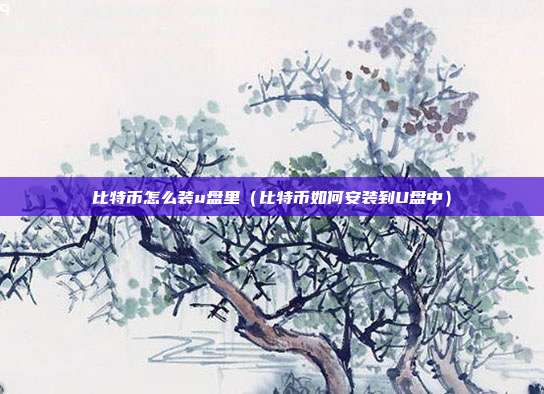 比特币怎么装u盘里（比特币如何安装到U盘中）