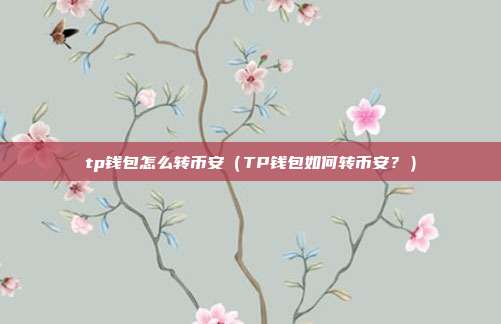 tp钱包怎么转币安（TP钱包如何转币安？）