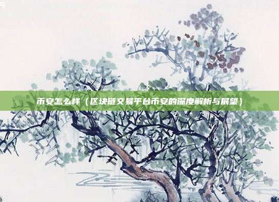 币安怎么样（区块链交易平台币安的深度解析与展望）