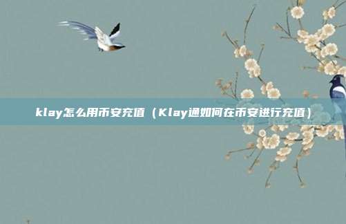 klay怎么用币安充值（Klay通如何在币安进行充值）