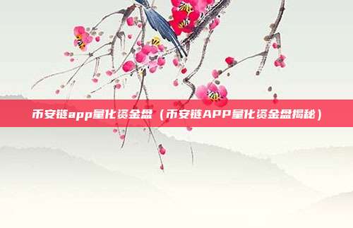 币安链app量化资金盘（币安链APP量化资金盘揭秘）