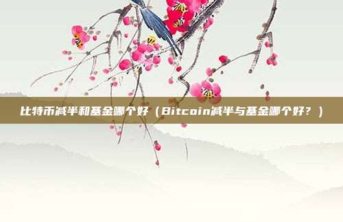 比特币减半和基金哪个好（Bitcoin减半与基金哪个好？）