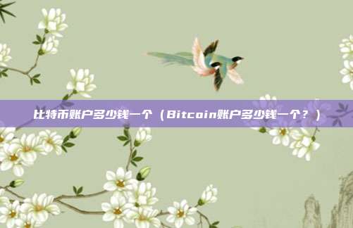 比特币账户多少钱一个（Bitcoin账户多少钱一个？）