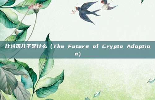 比特币儿子是什么（The Future of Crypto Adoption）