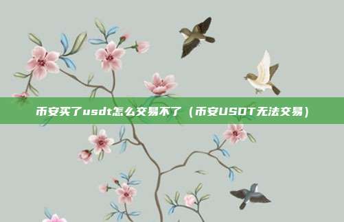 币安买了usdt怎么交易不了（币安USDT无法交易）