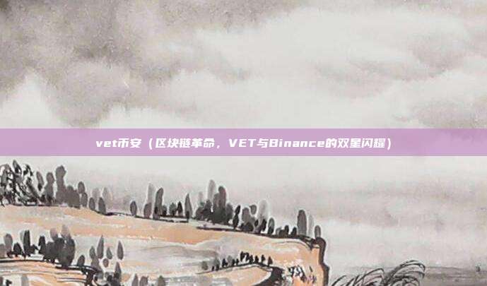 vet币安（区块链革命，VET与Binance的双星闪耀）