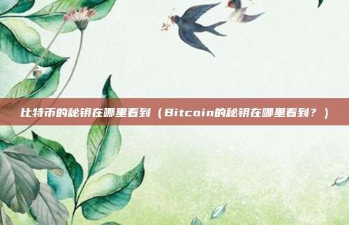 比特币的秘钥在哪里看到（Bitcoin的秘钥在哪里看到？）